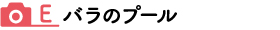 バラのプールタイトル