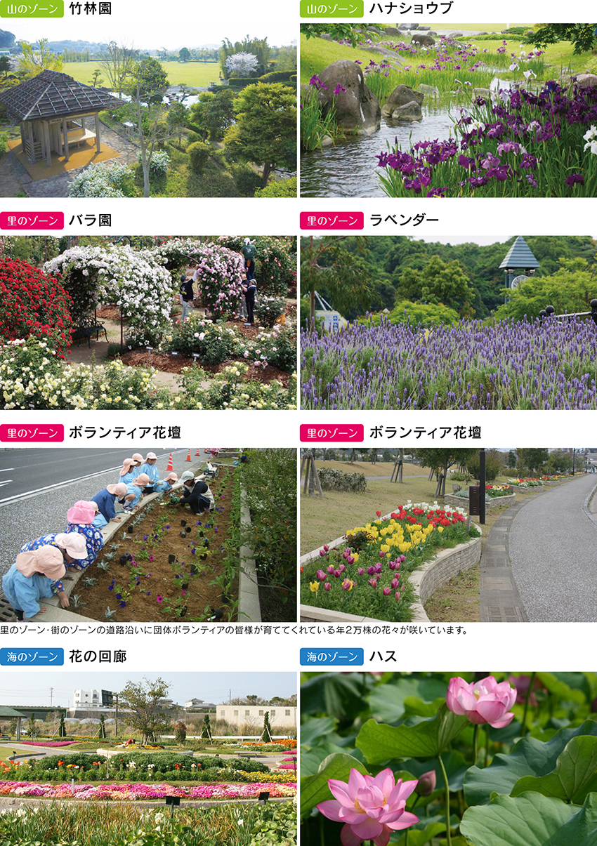 花と庭園を愛でるメインイメージ